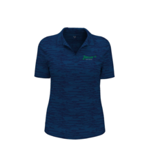 Cgw751 blueberry pancake